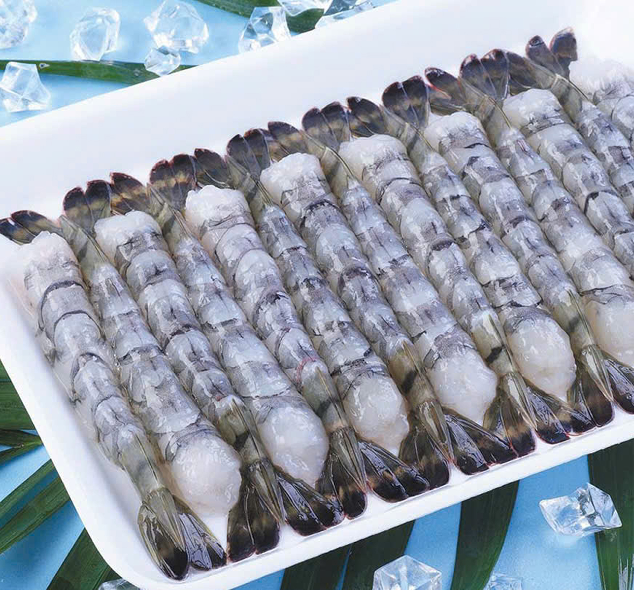 Nabashi Shrimp Shrimp